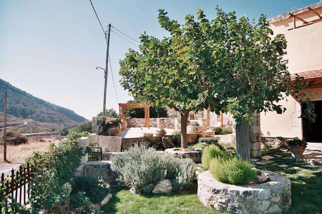 Traditional Villa With Pool In Sfakia Imbros Buitenkant foto